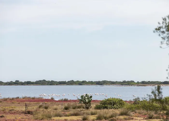 Helios 酒店 圣特奥多罗