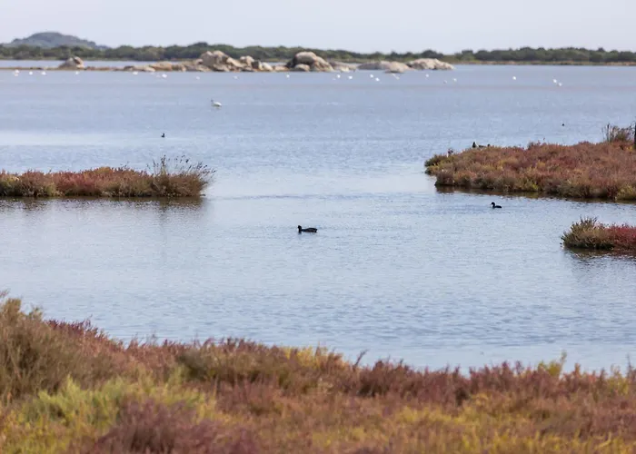 Helios 2* 圣特奥多罗